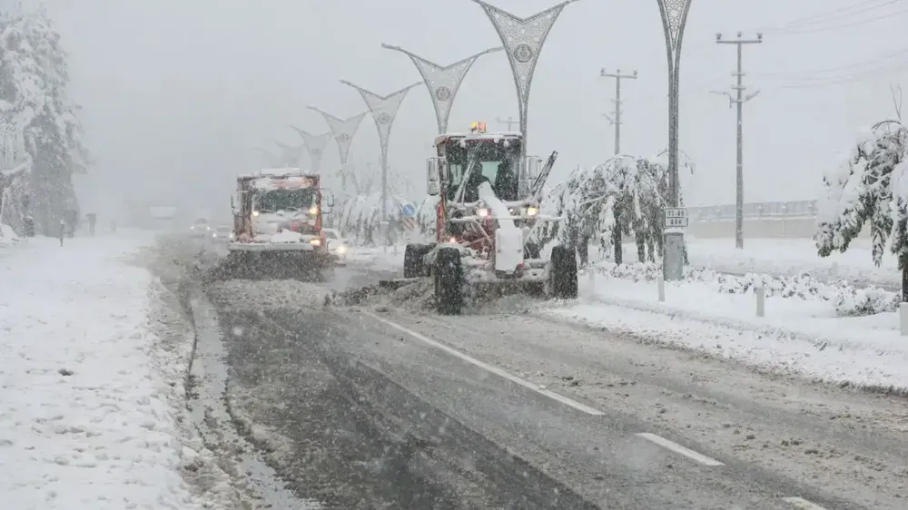 DOĞU