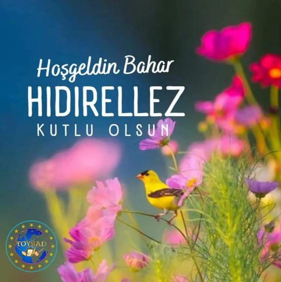 TOYŞAD