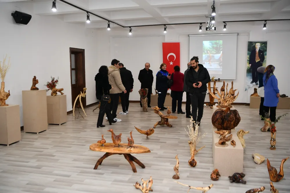 KURUMUŞ AĞAÇ KÖKLERİNDEN SANAT