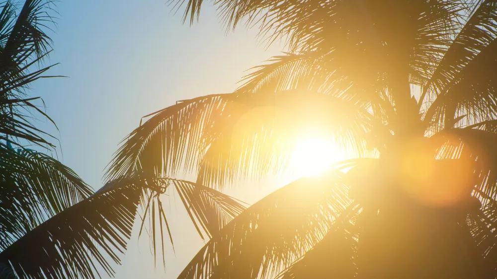 PASTIRMA YAZI ETKİLİ OLUYOR