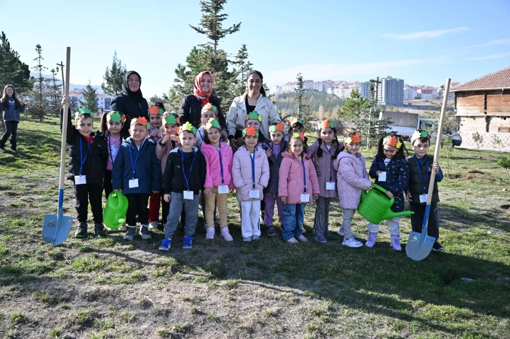 FİDANLAR AĞACA AĞAÇLAR ORMANA