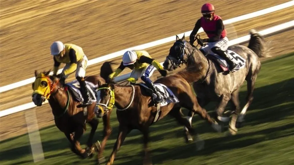 87. CUMHURBAŞKANLIĞI KOŞUSU GRANDE FLUSSO