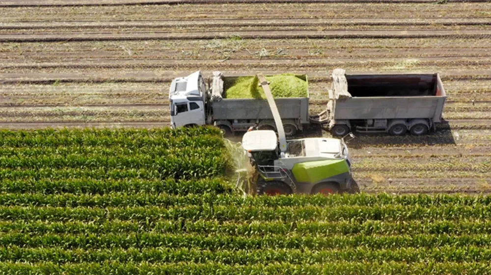 TARIMSAL DESTEK ÖDEMELERİ HESAPLARA YATIRILDI
