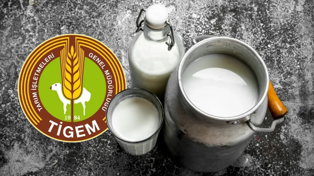 TİGEM 2026 YILI İÇİN 74 BİN 665 TON SÜTÜ İHALEYLE SATACAK