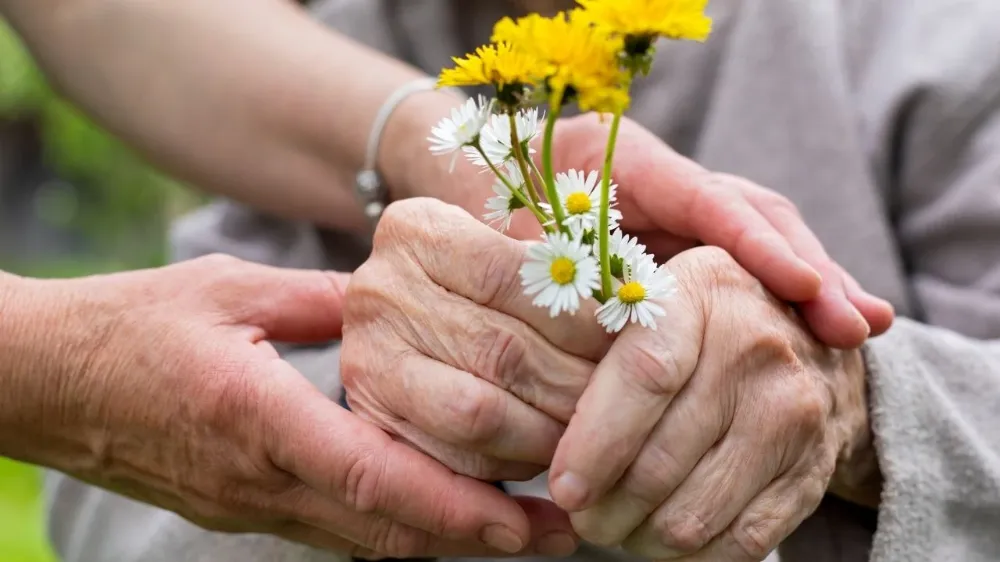 ENGELLİ VE YAŞLILARA KASIM AYINDA 7,11 MİLYAR LİRALIK DESTEK