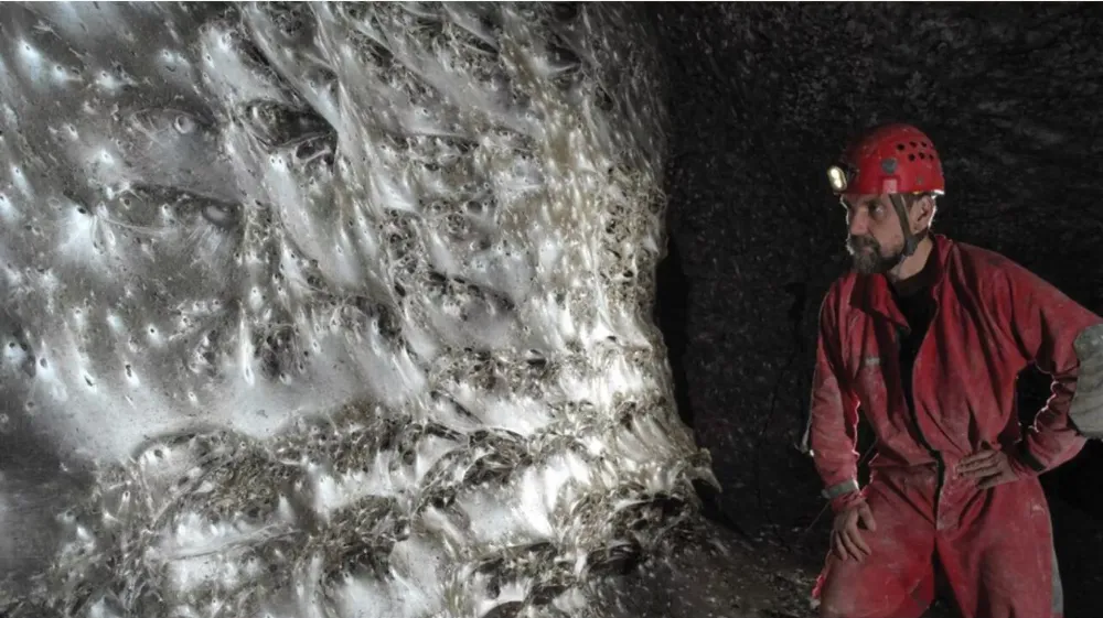 DÜNYANIN EN BÜYÜK ÖRÜMCEK AĞI KEŞFEDİLDİ