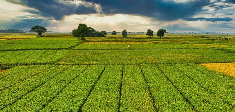 ÇİFTÇİLERE TARIMSAL DESTEKLEME ÖDEMELERİ YAPILDI