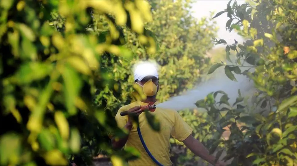 BÖCEK İLAÇLARININ REÇETESİZ VE İNTERNETTEN SATIŞI YASAKLANDI