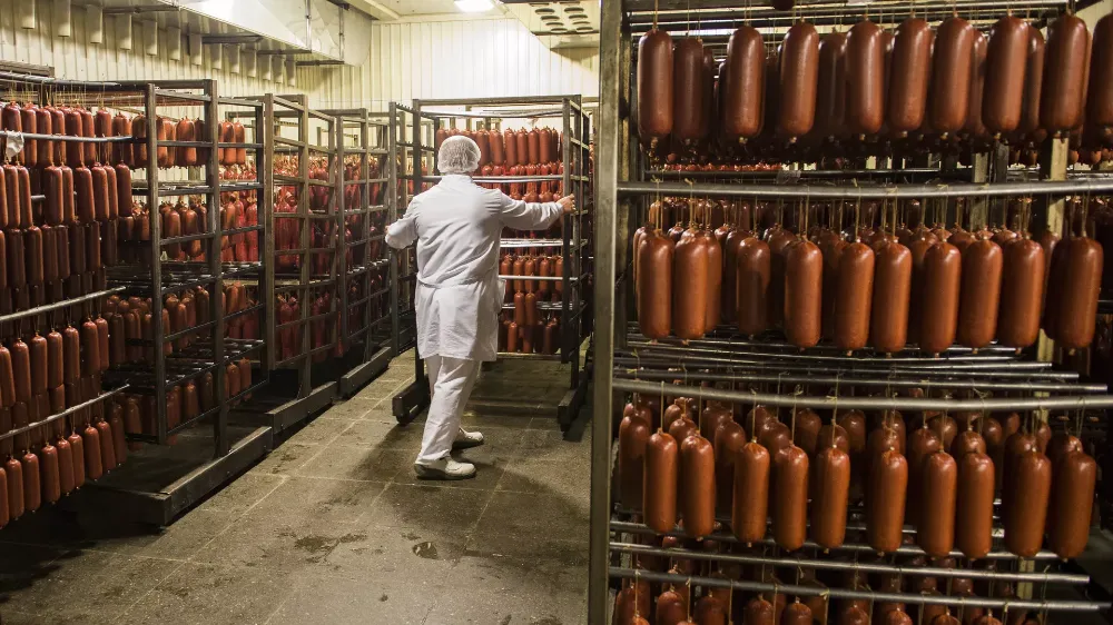 GÜNLÜK GIDALARDA KANSER RİSKİ 