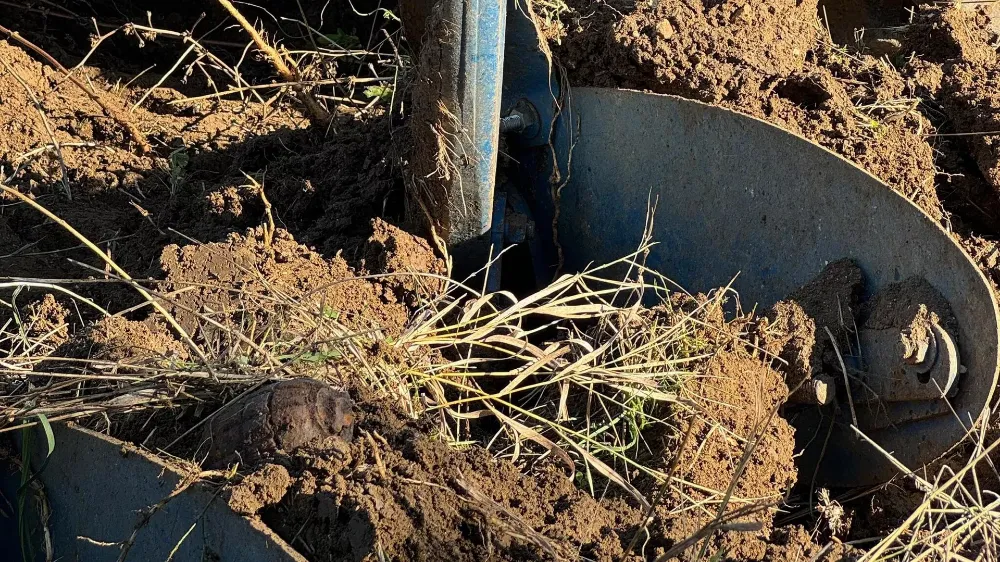 TARIM VE HAYVANCILIK ŞİRKETİ İFLAS ETTİ