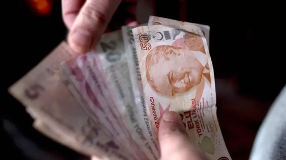 Türk ekonomisinde TL