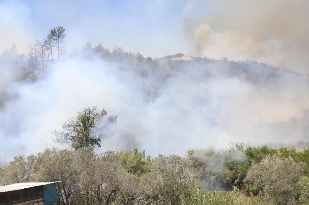 HATAY BÜYÜKŞEHİR BELEDİYESİ