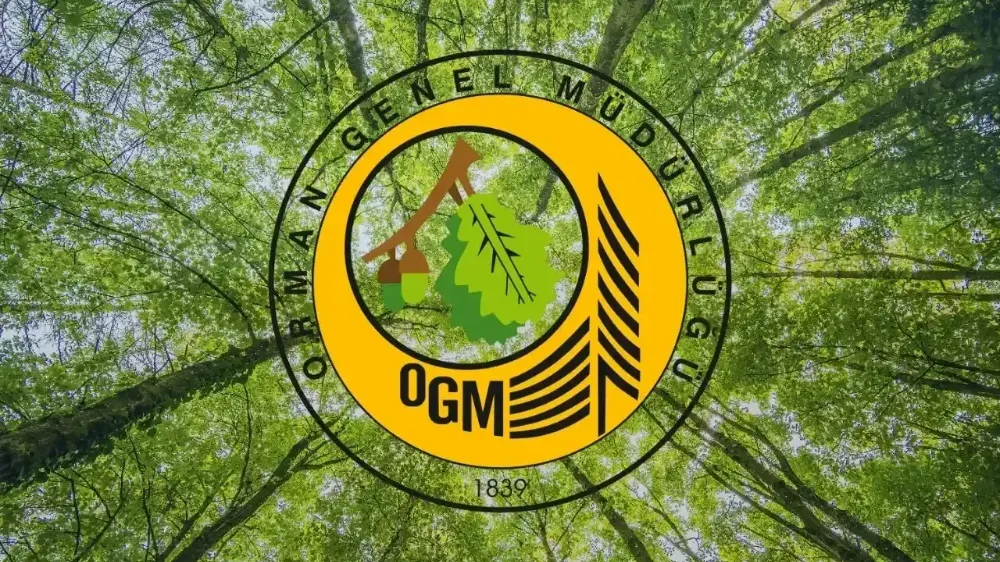 OGM