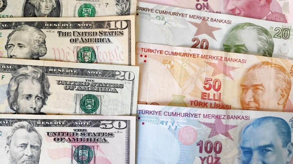 FİRMALARIN NET DÖZİZ AÇIĞINDA TEMMUZ AYINDA DÜŞÜŞ