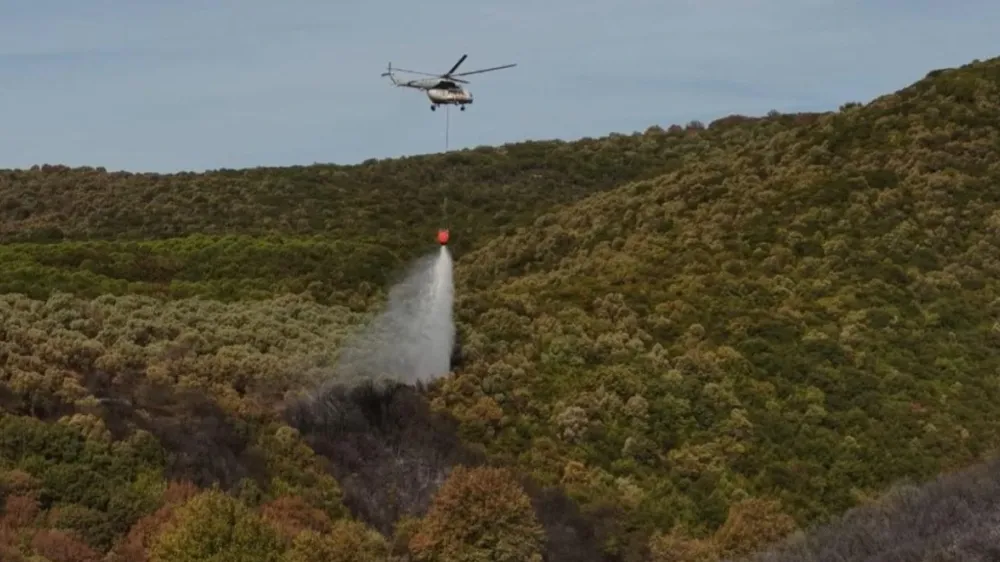 BURSADA ORMAN YANGINI KONTROL ALTINDA